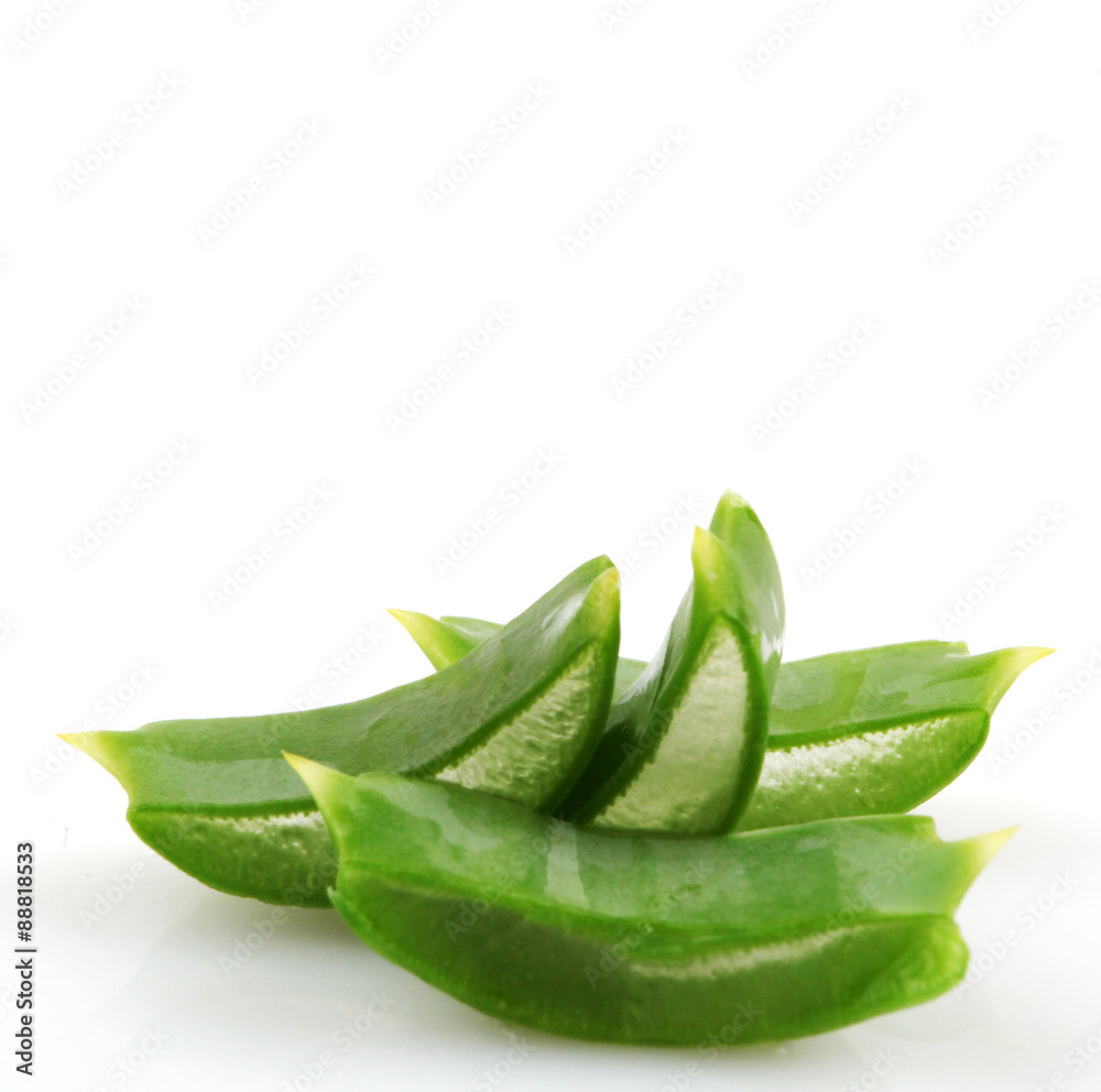 aloe vera aloe vera