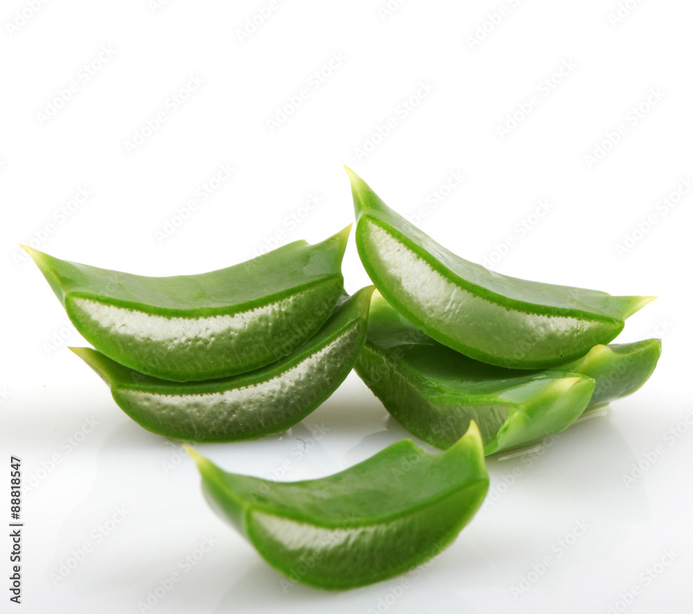 aloe vera aloe vera