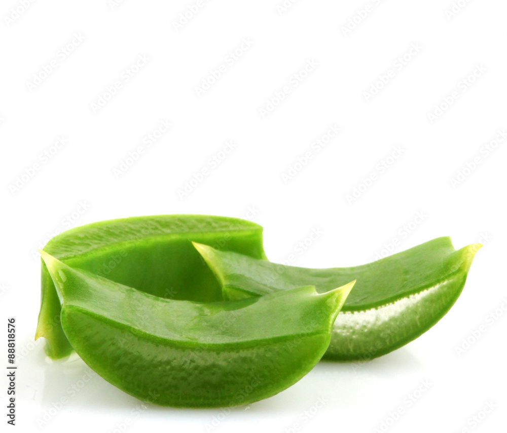 aloe vera aloe vera