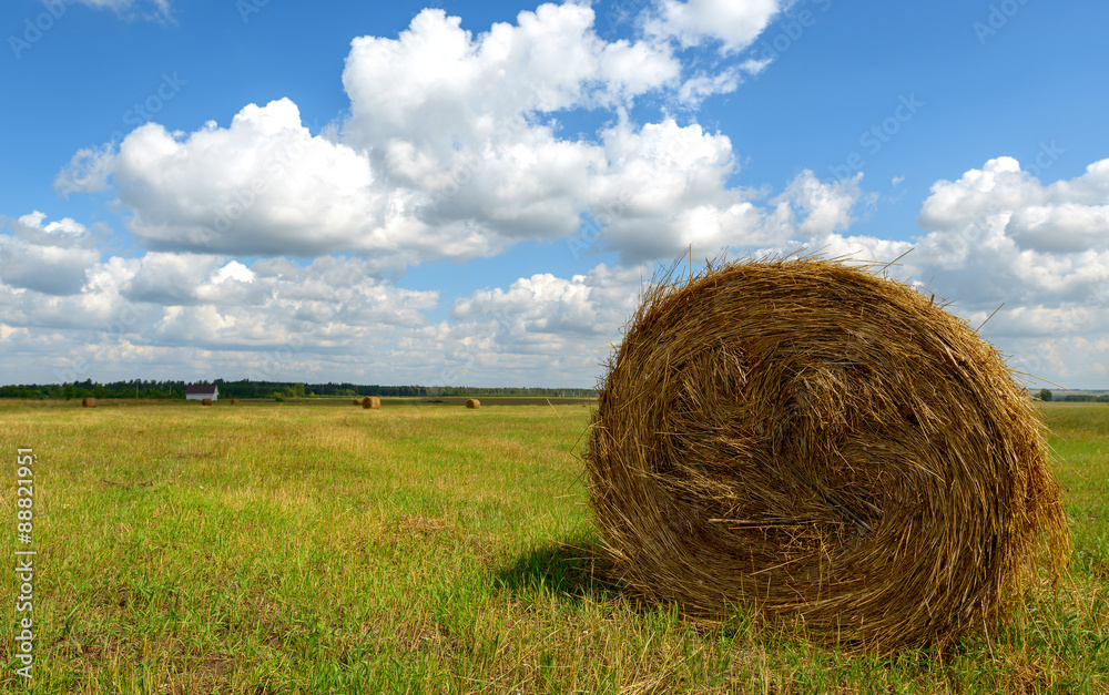 haystack in the field haystack in the field