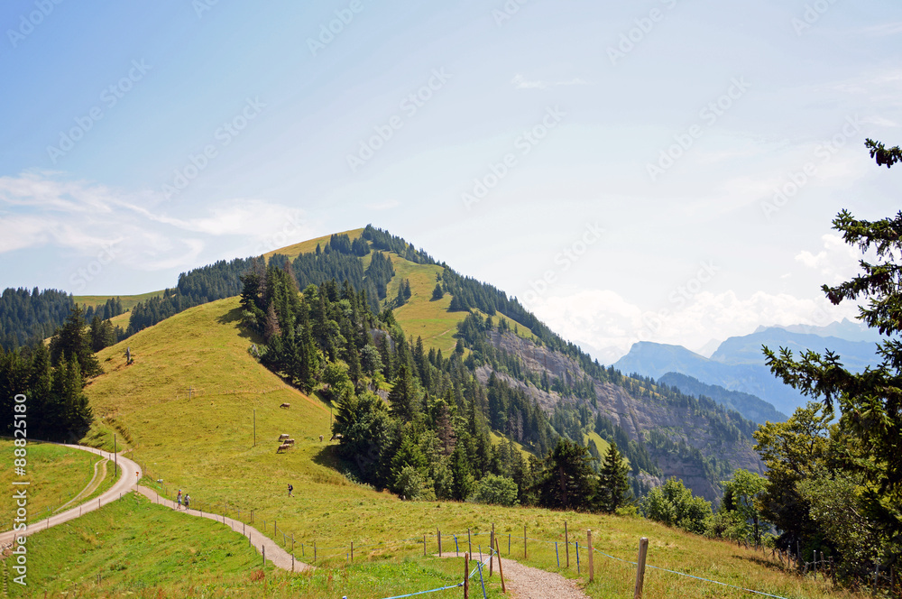 Dossen, Rigi, Zentralschweiz