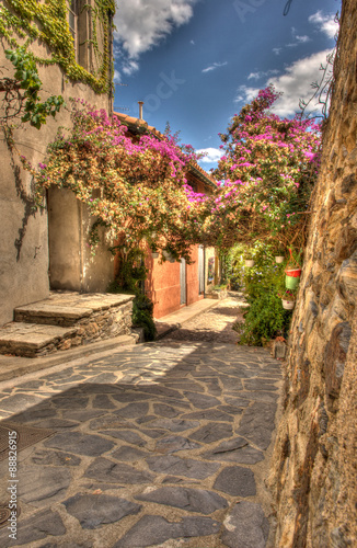 Fototapeta Collioure Street, typowe francuskie miasto