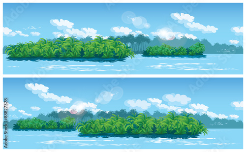 estuary a large tropical river