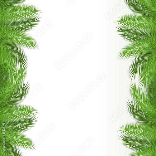 palm frame