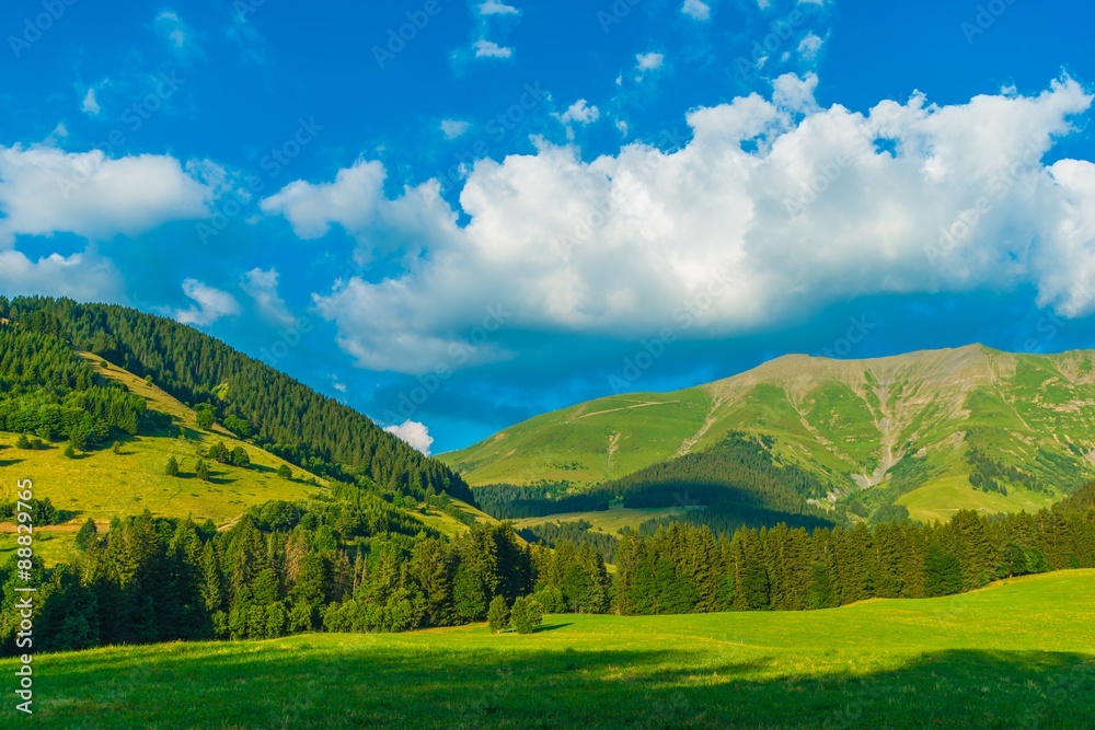 Obraz premium French Alps in Summer