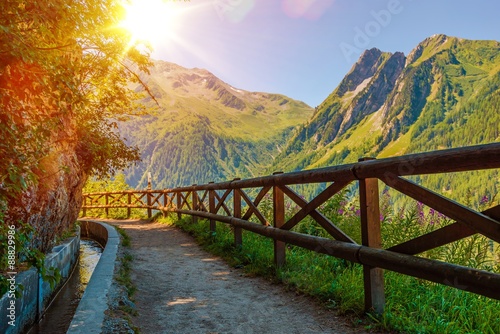 Canvas Print Swiss Alps Sunny Trail