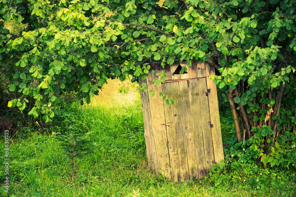 Naklejka premium Wooden Outhouse