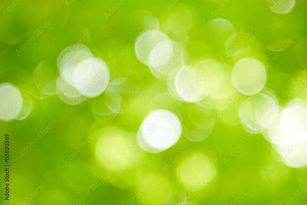 Obraz premium Bokeh on green backgrond