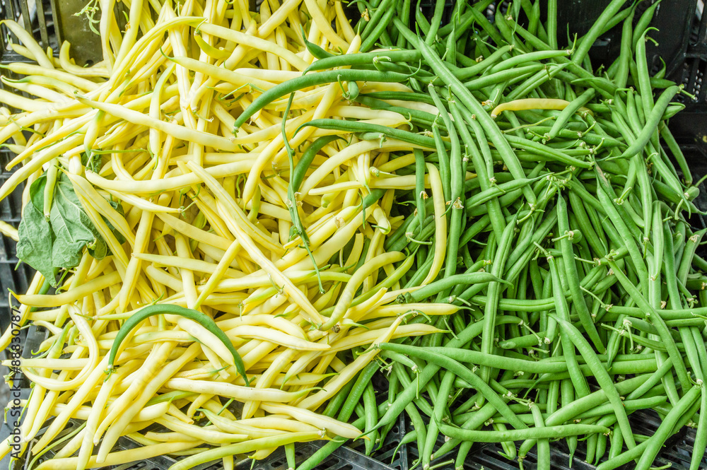 Green and yellow snap beans Green and yellow snap beans