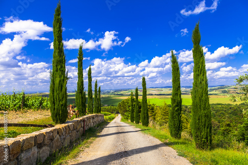 Landscapes of Tuscany, alley with cypresses. Italy photo