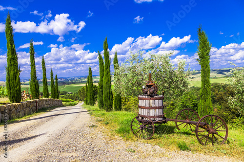 traditional scenery of Tuscany, Italy photo