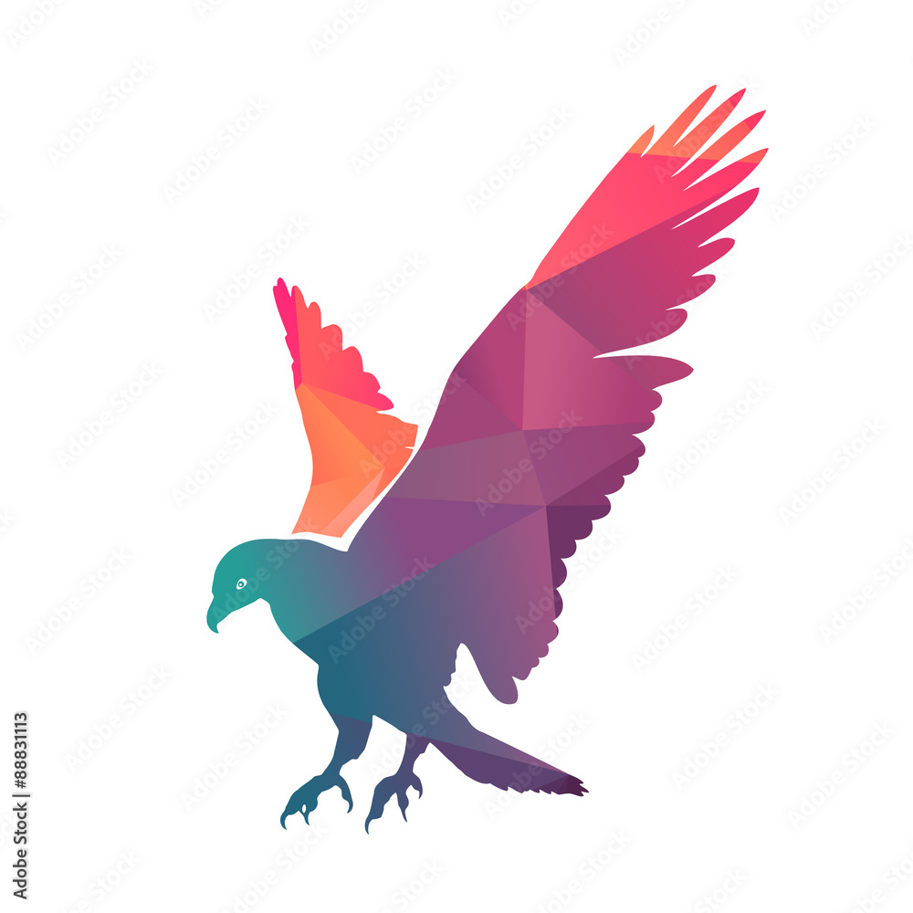 Fototapeta premium Colorful Eagle