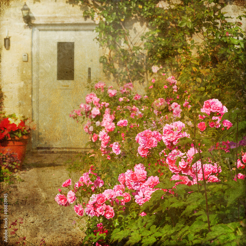 nostalgisch texturiertes Bild eines Rosenstrauches in einem Vorgarten