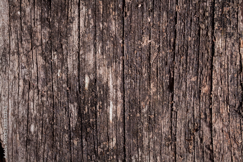 Old Wood Background.