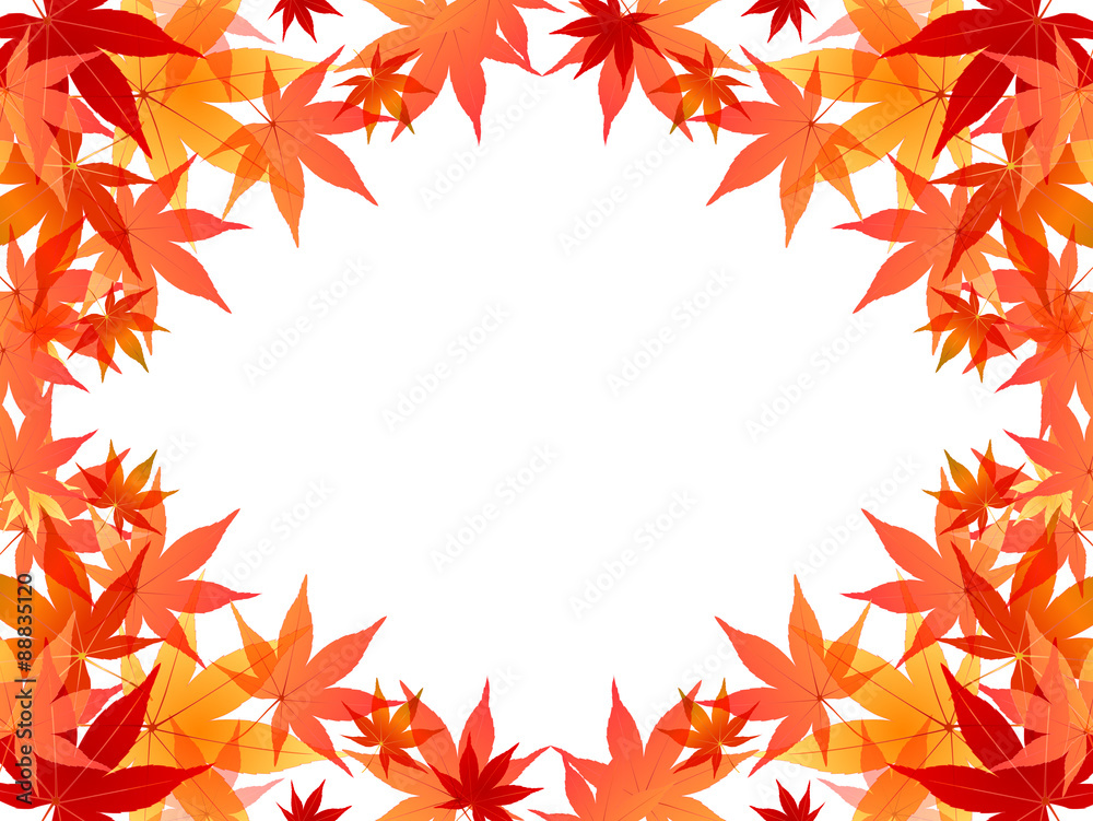 もみじ　紅葉　背景