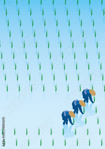 田植え