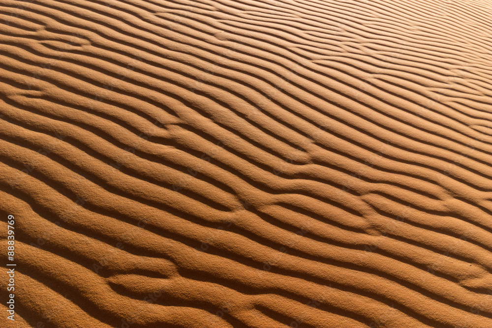 sahara desert