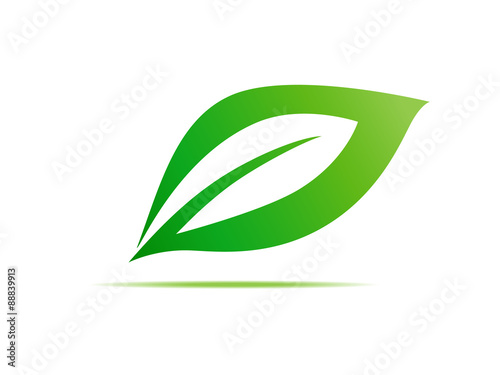 green leaf symbol vector illustration icon