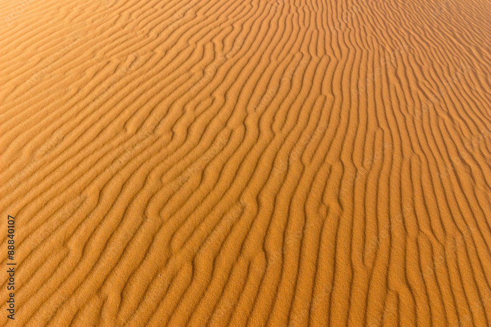 sahara desert