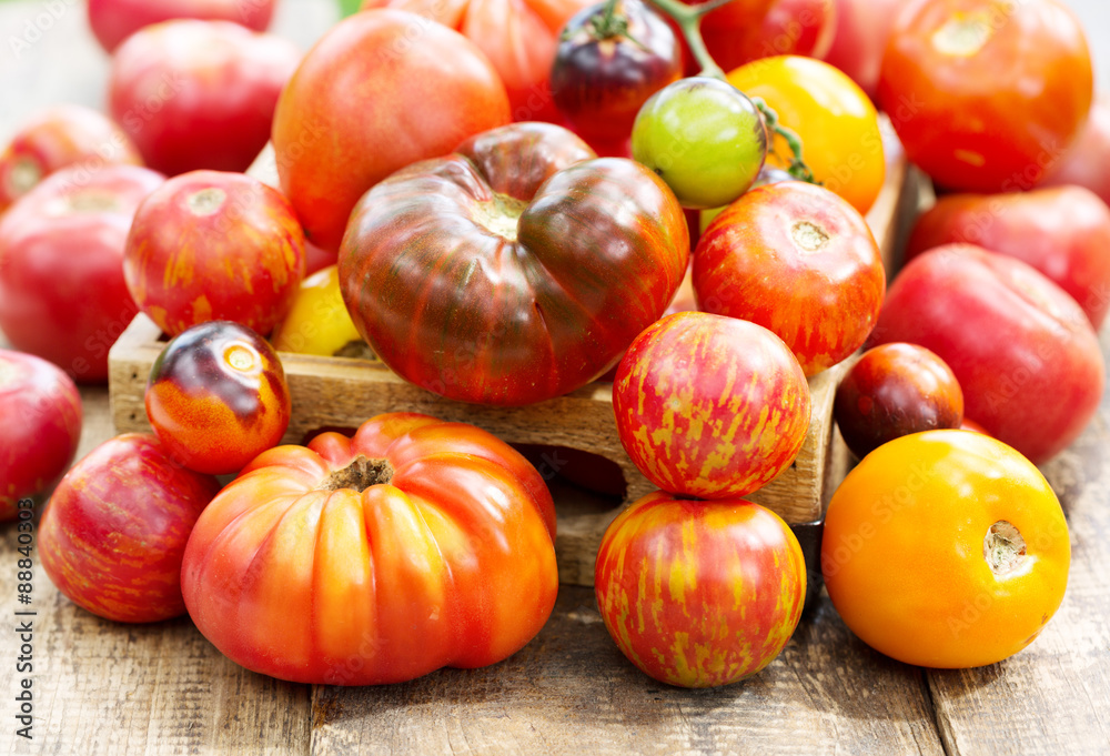 fresh tomatoes on wooden table fresh tomatoes on wooden table