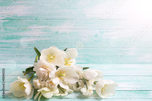 Fototapeta Naklejka Na Ścianę i Meble -  Background  with white daffodils flowers