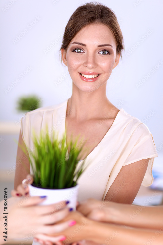 Beautiful woman holding pot with a plant, standing Beautiful woman holding pot with a plant, standing