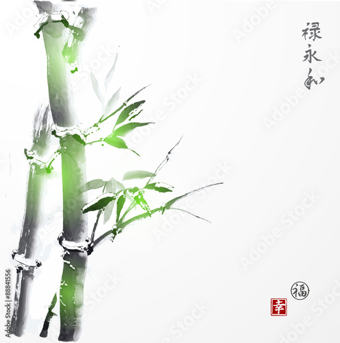 Carta da parati bambù - Carta da parati Card with green bamboo in sumi-e style. Contains hieroglyphs 