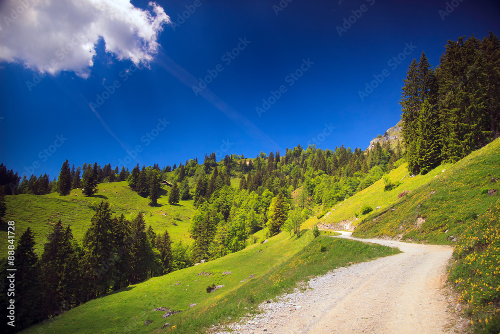 Naklejka premium Mountain road