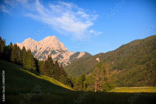 Mountain meadow