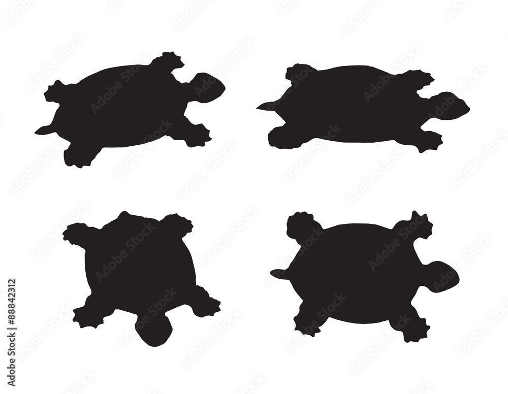 Vector group of turtle on white background Vector group of turtle on white background