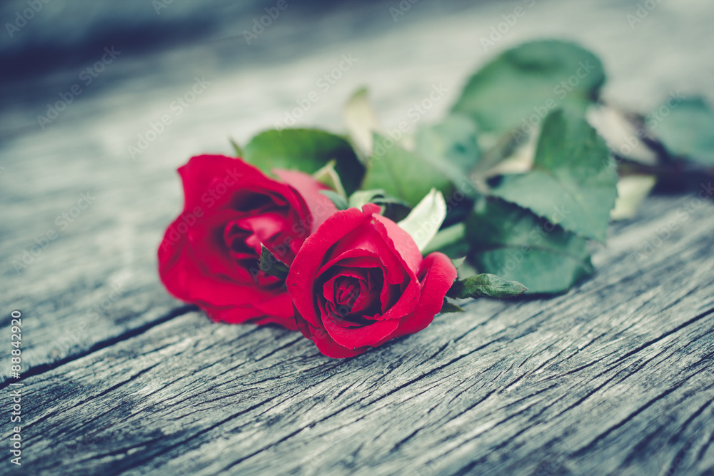 Rose lying down on a old wooden floor. Rose lying down on a old wooden floor.