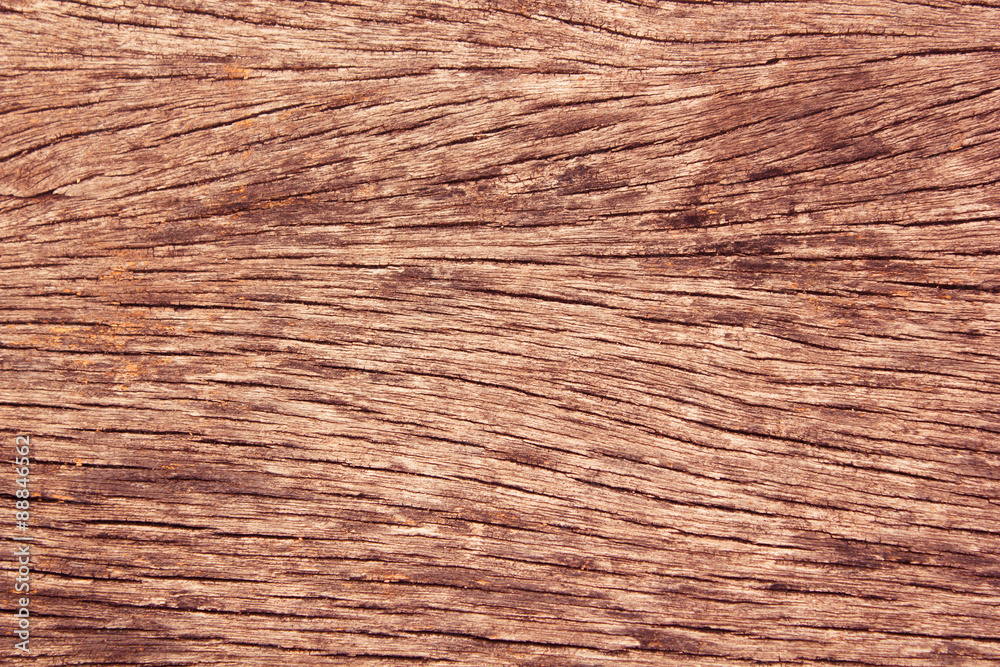 Naklejka premium Texture of wood.