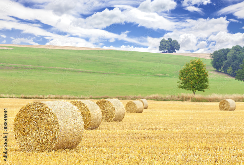 Fototapeta premium Hay bales on harvested field, summer background.