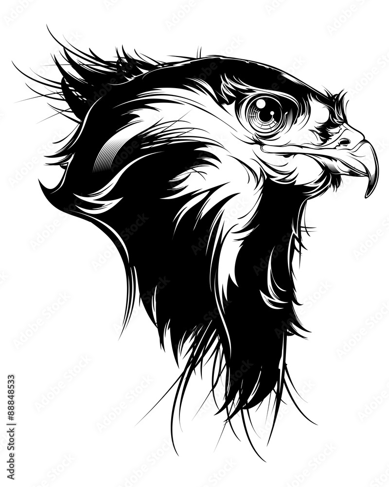 Vector head of hawk