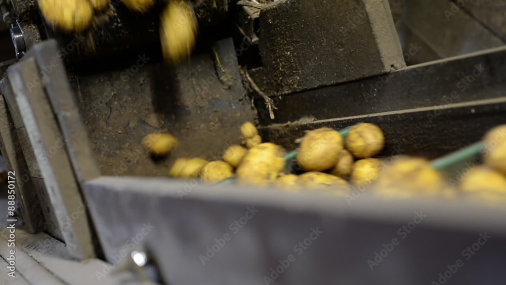 Kartoffelproduktion 