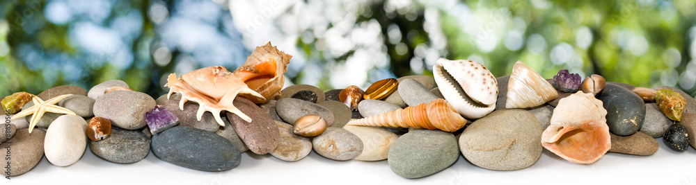  stones and shells on a green background