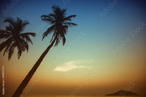 Two palm trees silhouette on sunset tropical beach