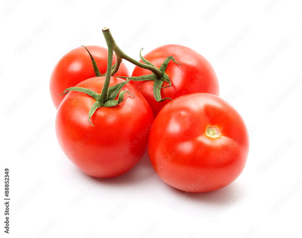 Fresh red tomatos isolated on white background Fresh red tomatos isolated on white background
