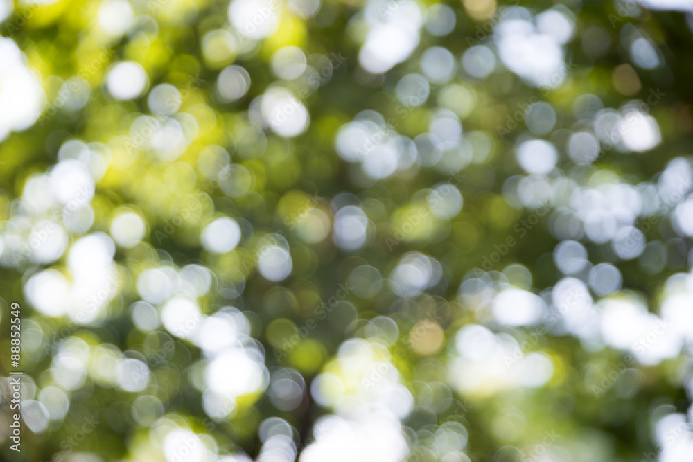 Obraz premium Bokeh Lights Background Blur Style