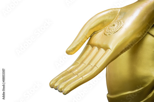 hand of Buddha