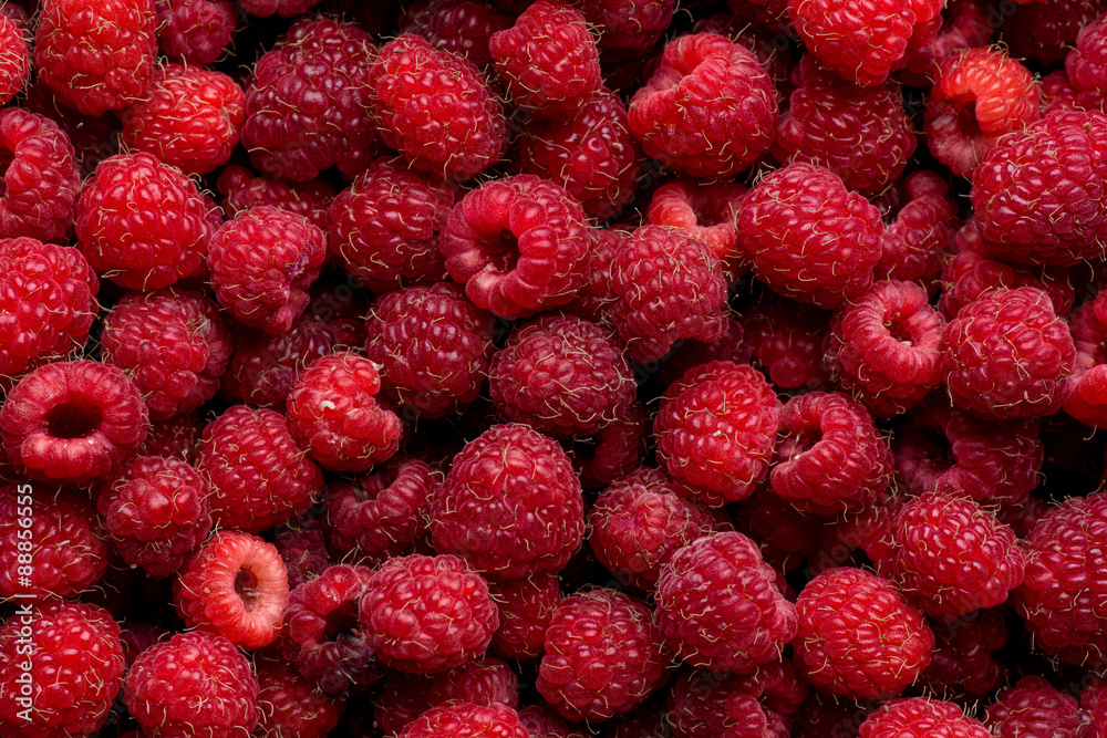 Ripe red raspberry fruit background. Top view Ripe red raspberry fruit background. Top view