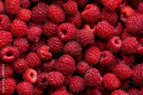 Ripe red raspberry fruit background. Top view 