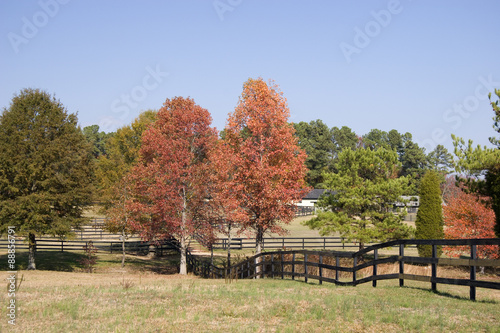 Horse Farm in the Fall with Fencing