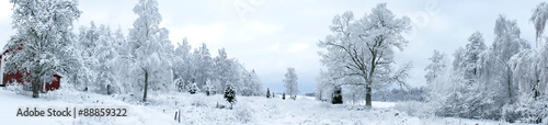 Swedish Winter Landscape Panorama 