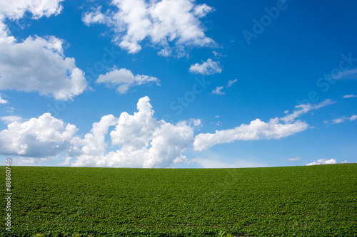 野菜畑の上に広がる青空