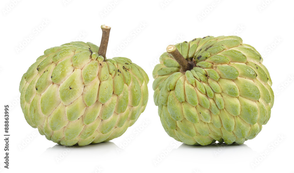 Obraz premium custard apple on white background