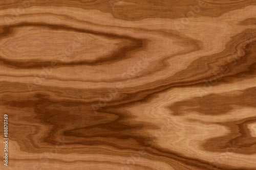 background of olive wood texture © angelo sarnacchiaro