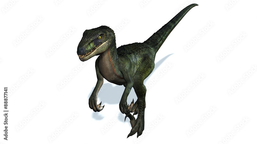 velociraptor dinosaurs - isolated on white background velociraptor dinosaurs - isolated on white background