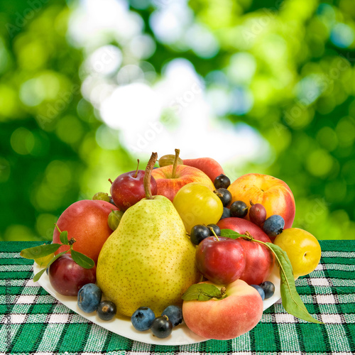 different fruits on green background