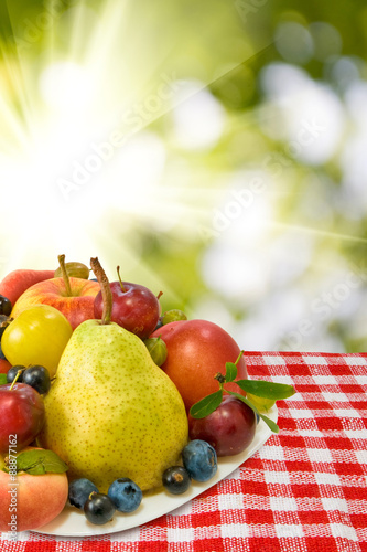 different fruits on the table against the sun